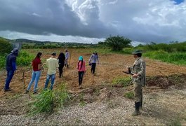 Sistema Agroflorestal em Arapiraca fortalece produção sustentável