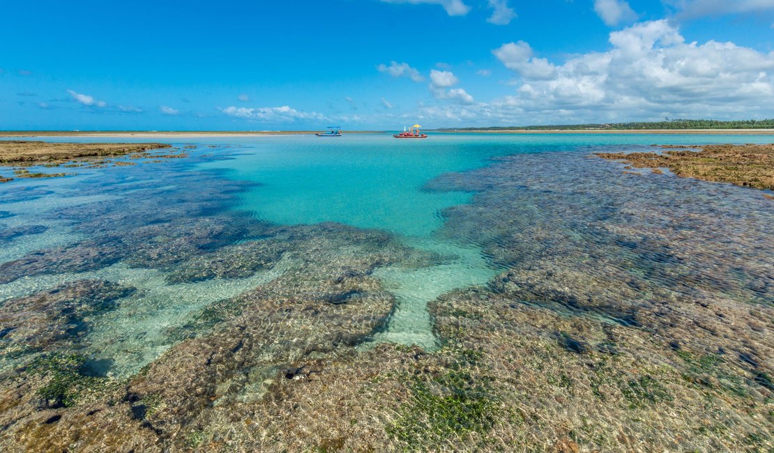Praia de Alagoas é considerada uma das 100 melhores praias do mundo