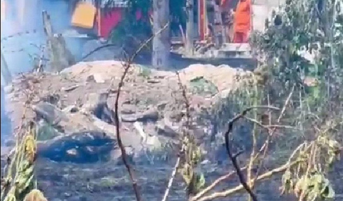 Bombeiros combatem incêndio às margens da AL-220 e evitam que fogo atinja fábrica de carrocerias, em Arapiraca