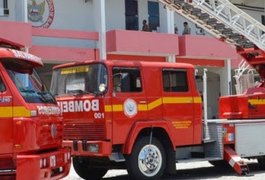 Corpo de Bombeiros é acionado para conter invasão de abelhas em residência no Agreste