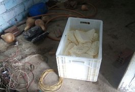 Fiscalização apreende 1,2 tonelada de queijo produzido em Major