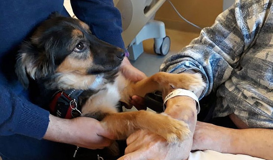 Homem que teve AVC volta a conversar depois de ver seu cachorro