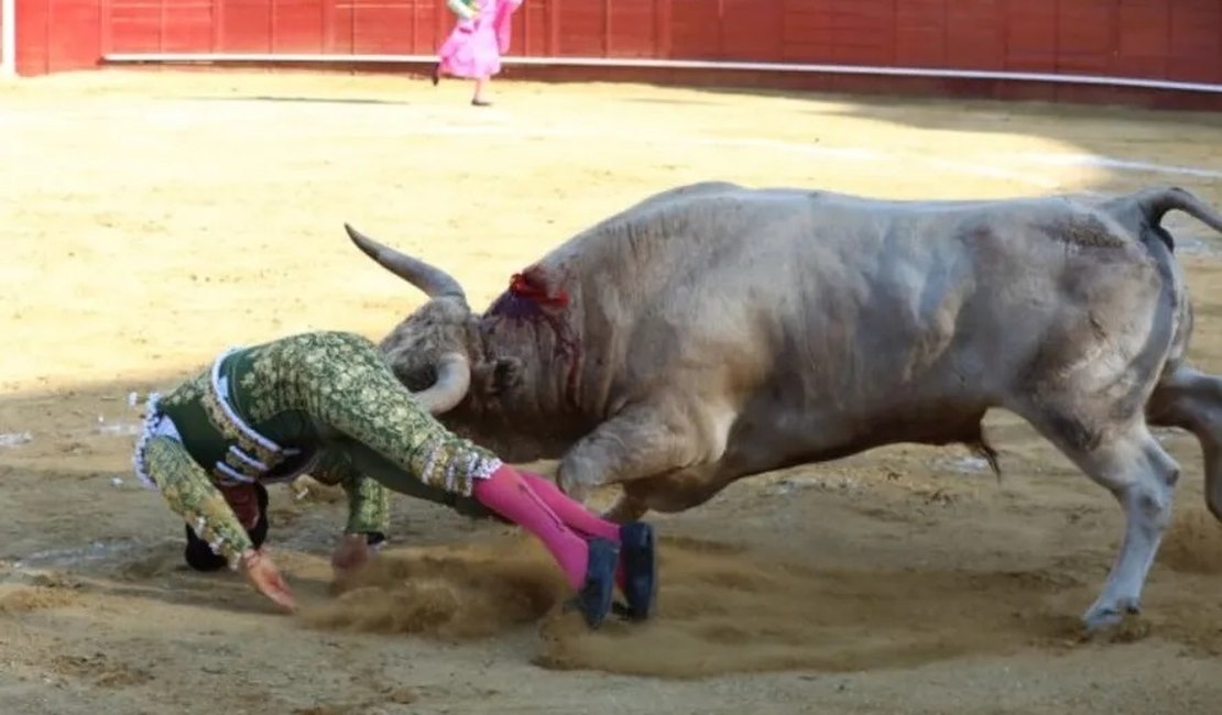 Vídeo. Toureiro é chifrado no reto ao se apresentar em arena de touros em Madri