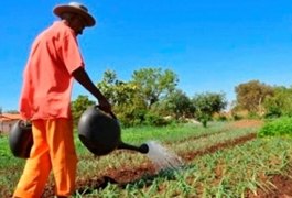 Governo de Alagoas vai entregar 466 títulos de terra para agricultores de seis municípios