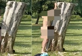 Homem faz 'sexo' com tronco em parque sem se incomodar com os olhares das pessoas