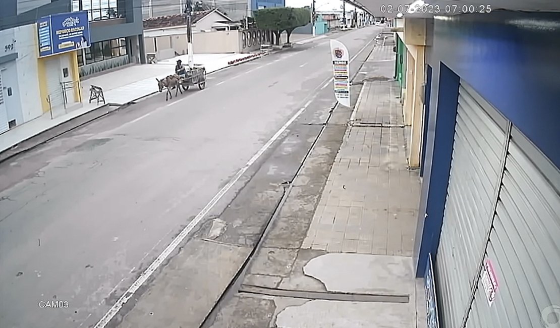 Vídeo. Câmeras flagram catador furtando construção em Arapiraca