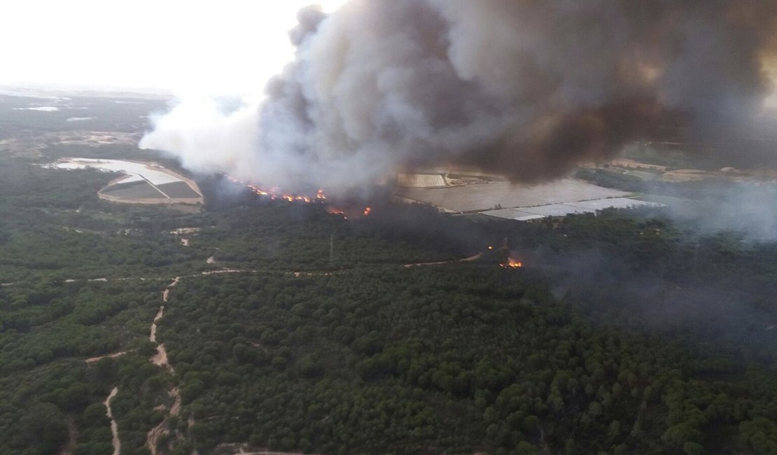 Incêndio no sul da Espanha faz mais de 1.800 pessoas serem evacuadas de suas casas