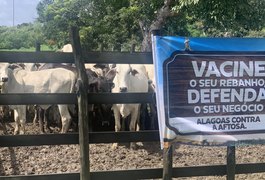 Prazo para vacinação contra aftosa encerra dia 31 de maio