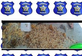 PC apreende menor tentando entregar refeição com drogas em delegacia no Sertão