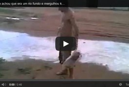 Bêbado se joga em poça de lama achando está em um rio - veja o vídeo