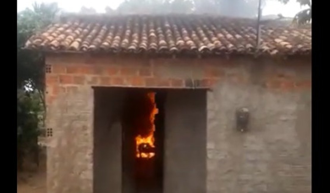 Vídeo. Mulher tenta queimar abelhas e incendeia residência, no Agreste alagoano
