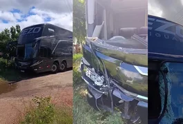 Ônibus do cantor Zezo atropela cavalo na BR-230, na Paraíba