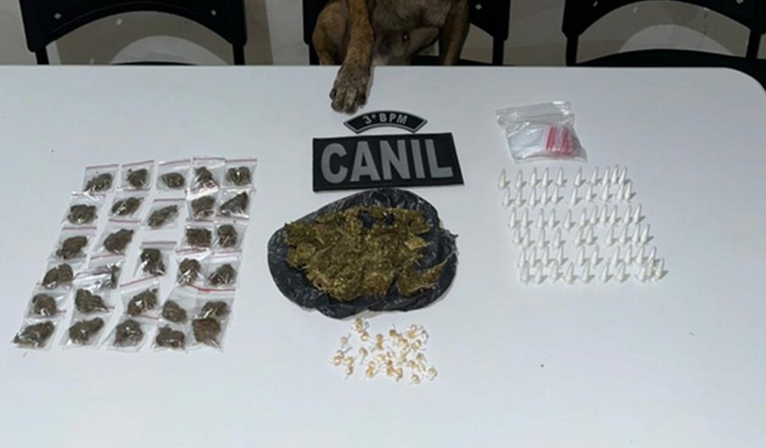 Com apoio de cão farejador, policiais militares apreendem diversos tipos de drogas no Conjunto Frei Damião