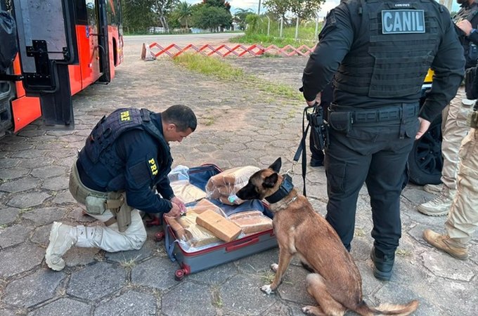 Passageiro de ônibus interestadual é preso com 31,4 kg de maconha na BR-101 em São Sebastião