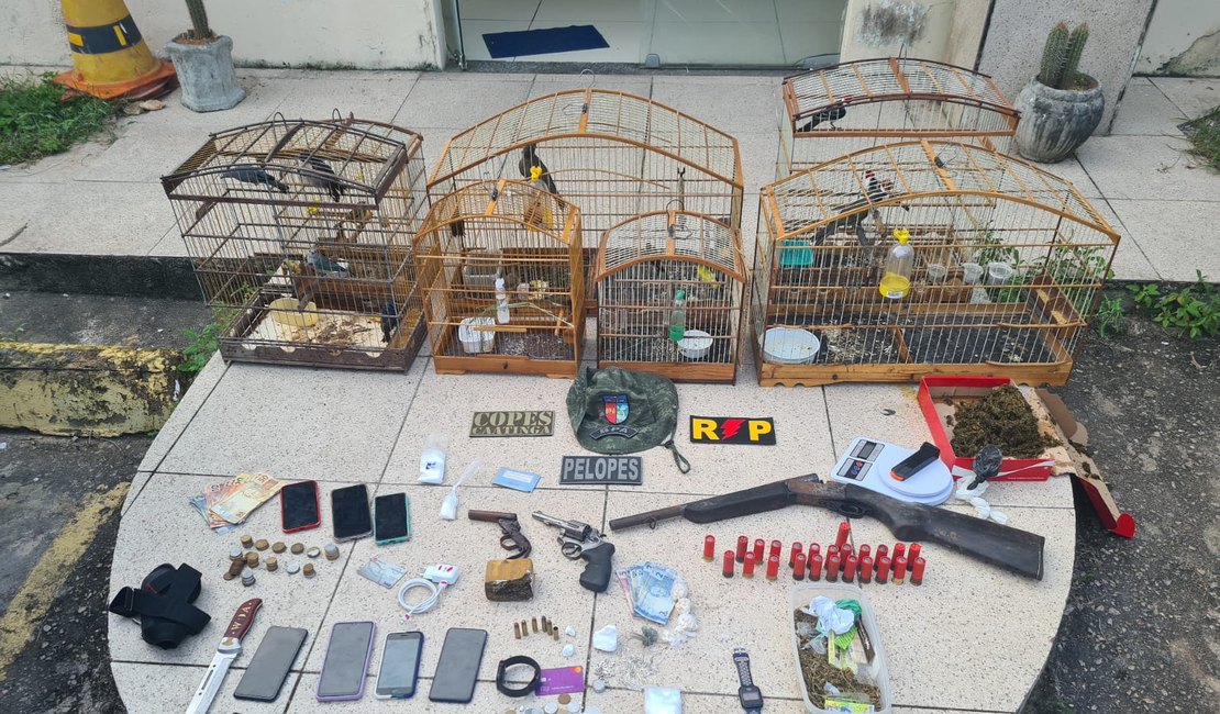 Operação prende 7 pessoas e apreende drogas e mais de R$ 83 mil reais no Sertão de AL