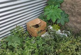 Recém-nascido é resgatado ainda com a placenta em caixa de papelão em MG