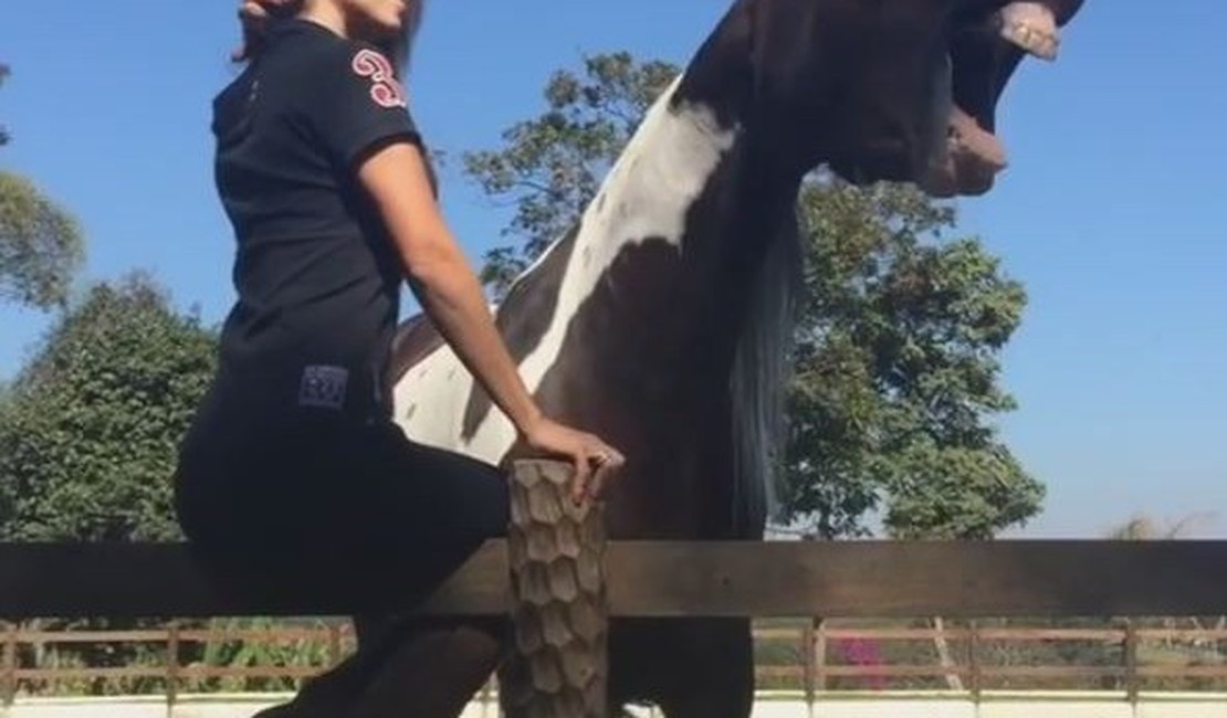 Paula Fernandes leva mordidinha de cavalo: 'Doeu'