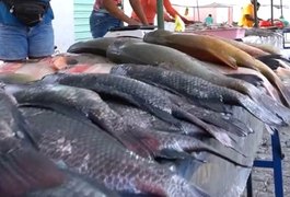 Vigilância Sanitária de Penedo orienta população sobre compra de peixe