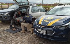 9kg de pasta base de cocaína apreendida em São Miguel dos Campos