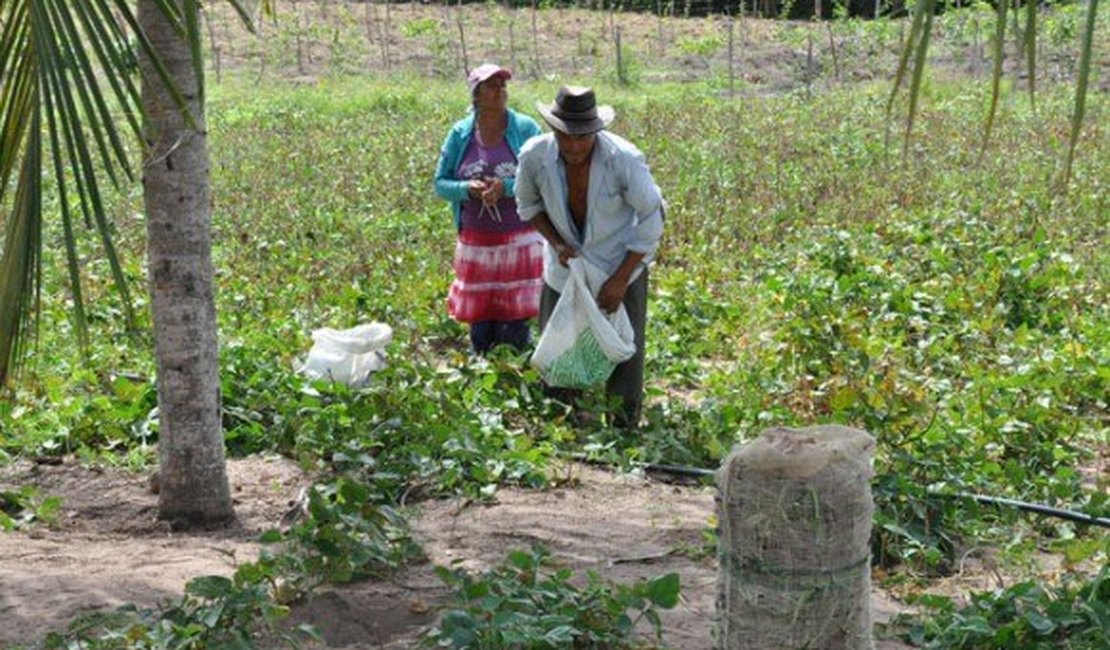 Desenvolve libera recursos para fortalecer cooperativa de crédito rural do Agreste