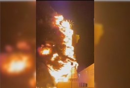 Vídeo: Estátua da Liberdade da Havan é incendiada em Petrolina