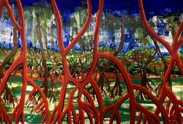 Simone Freitas apresenta nova exposição “Entre o mar e o sertão, tem o mangue” no Complexo Cultural do Teatro Deodoro