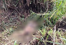 Homem encontrado morto com cerca de 40 facadas em Rio Largo é identificado pela Polícia Civil