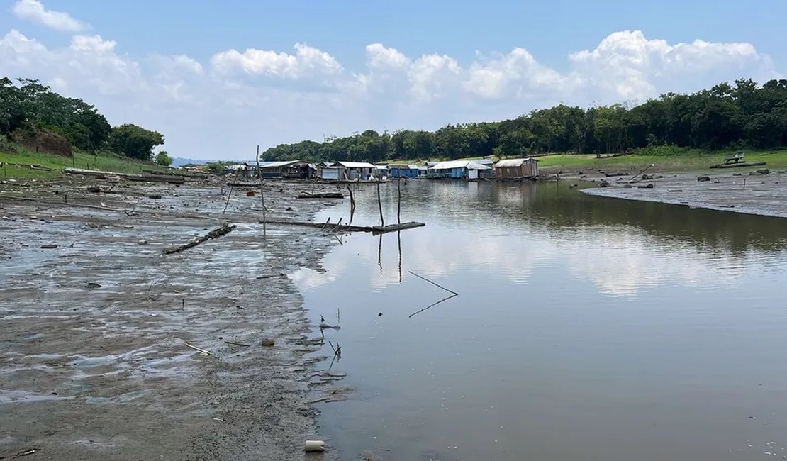 Seca já afeta todos os 62 municípios do Amazonas