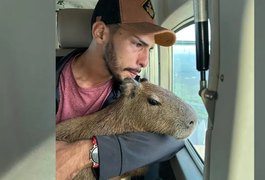 Justiça concede guarda provisória de capivara a influencer do Amazonas