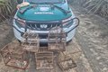 PM resgata mais de 250 animais silvestres e apreende oito armas de fogo durante operação em Alagoas