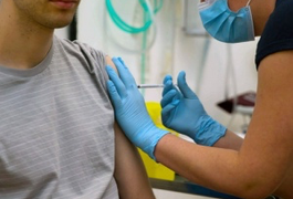 Após estudos, vacina da tuberculose será testada no Brasil contra Covid-19; entenda