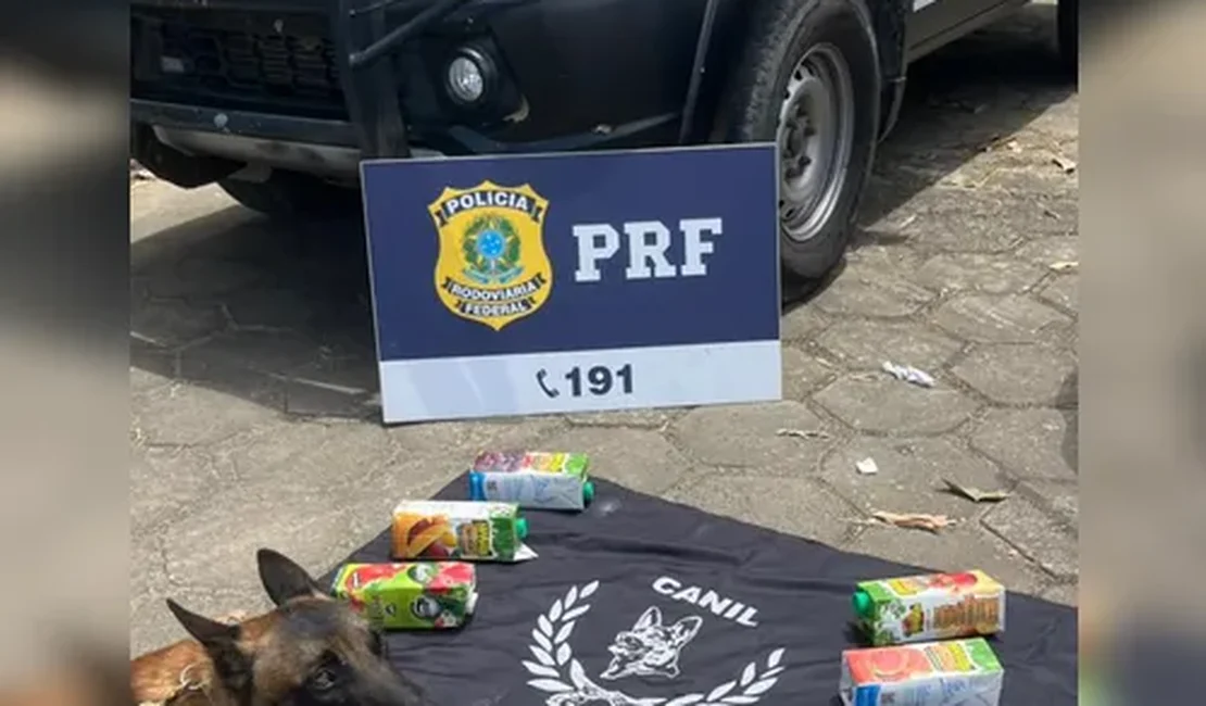 Mulher é presa com 10 kg de cocaína dentro de mala, armazenados em embalagens de suco em rodovia alagoana