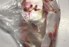 Polícia Penal apreende drogas com reeducando no Presídio do Agreste