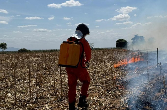 Corpo de Bombeiros registra aumento de 80% nos incêndios em vegetação em Alagoas