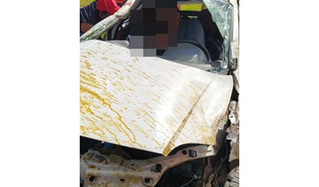 Vídeo. Militar fica gravemente ferido e esposa morre em acidente na BR 101, em Campo Alegre