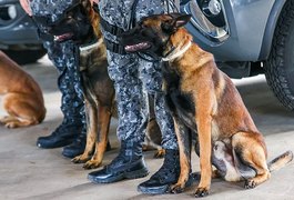 Homem é preso após cão farejador localizar droga em mala dentro de ônibus, no Agreste