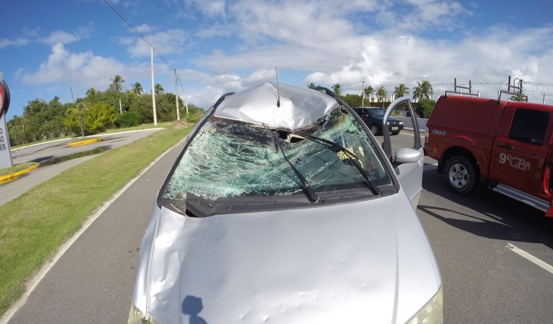 Animal na pista provoca acidente e deixa casal ferido na AL 101 Sul