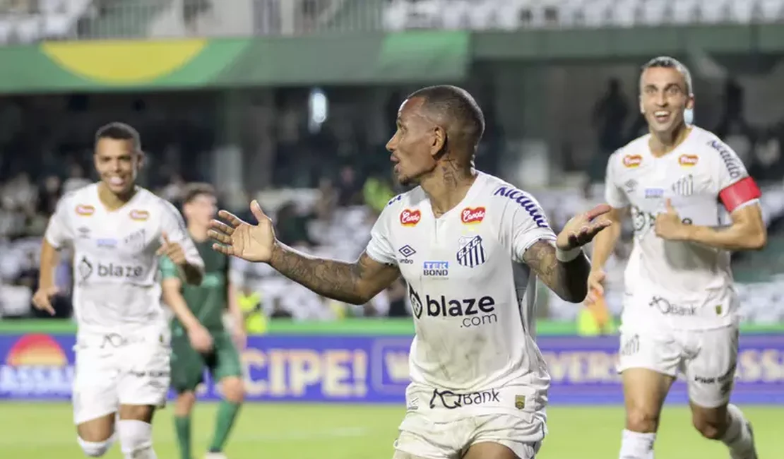 Santos supera campeonato de altos e baixos e volta à Série A do Brasileirão