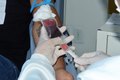 Hemoal faz coletas externas de sangue em Arapiraca e Murici nesta terça-feira (9)