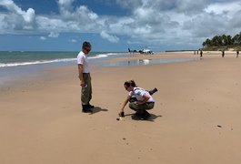 Equipes do Ibama fiscalizam Litoral Sul de Alagoas e traçam estratégias de prevenção