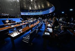 Plenário vota prevenção a desastres e criação de universidade indígena