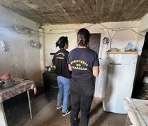 Em 2023, 523 vítimas de trabalho análogo à escravidão foram resgatadas