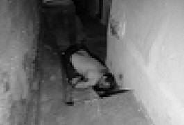 Homicídio é registrado no bairro Zélia Barbosa, em Arapiraca