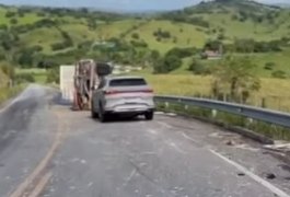 Caminhão carregado com frangos tomba na BR-424 entre Viçosa e Chã Preta