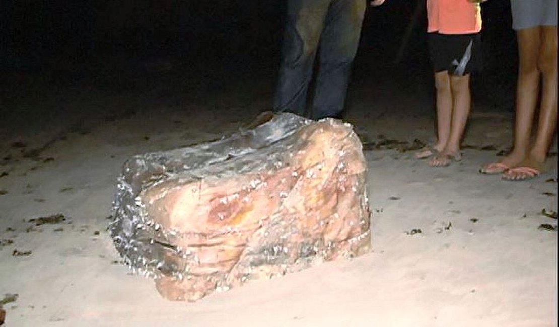 Pilhas de couro são encontradas na faixa de areia do litoral alagoano