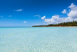 Praia de Maragogi está entre as dez melhores do Brasil