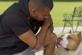 Adestrador alerta para riscos de cães agressivos e falta de responsabilidade de tutores em Arapiraca