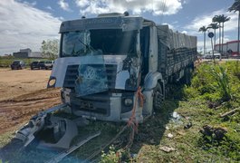 Caminhoneiro perde controle de veículo carregado de esterco e acidente é registrado em Arapiraca