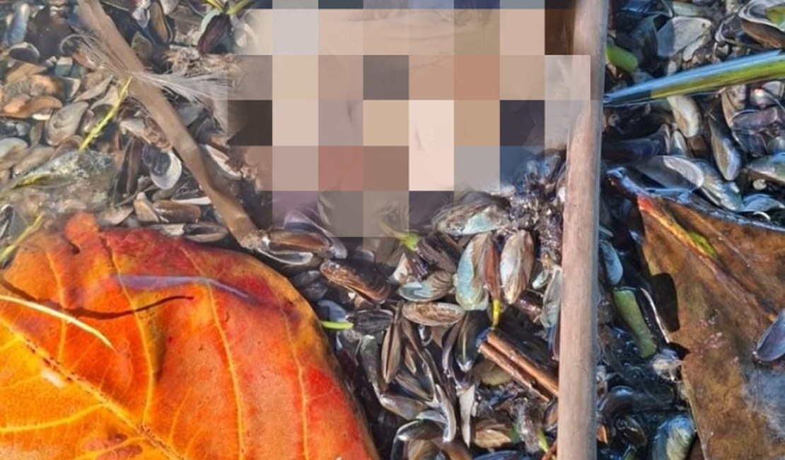 Mistério assustador: pé humano é encontrado abandonado em área de Maceió