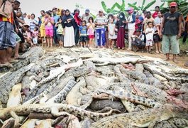 Comunidade mata quase 300 crocodilos em vingança pela morte de vizinho